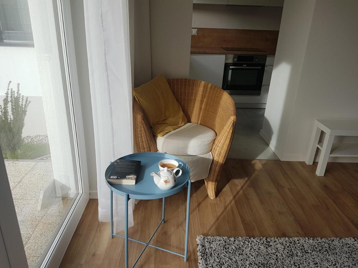 Apartament Jasinskiego Z Ogrodem П'ясечно Екстер'єр фото